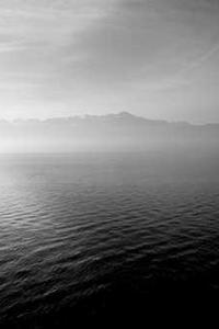 designer image